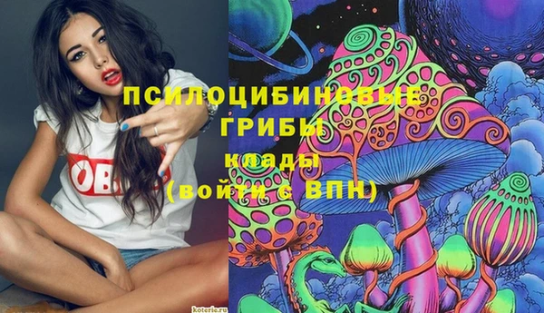 молекула духа Баксан