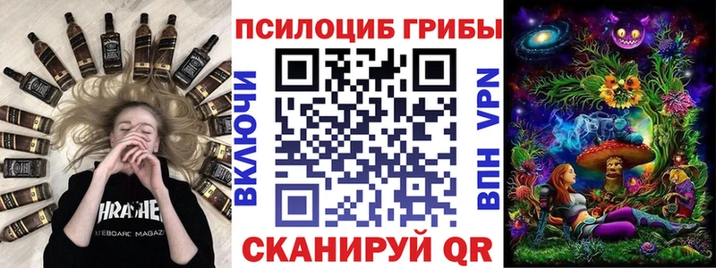Галлюциногенные грибы ЛСД  blacksprut маркетплейс  Гатчина  где купить наркотик 